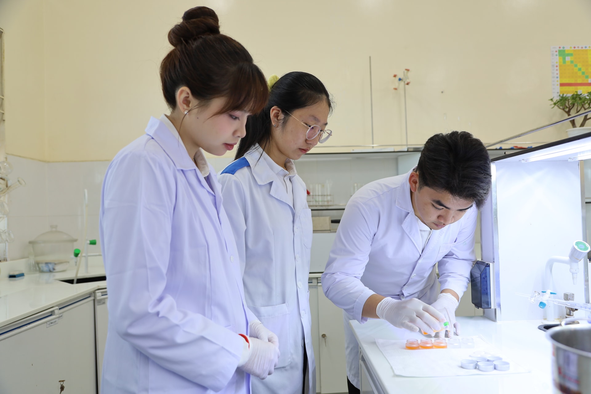 Dự án từ ớt cay nhất thế giới của sinh viên Yersin Đà Lạt vào top 8 toàn quốc