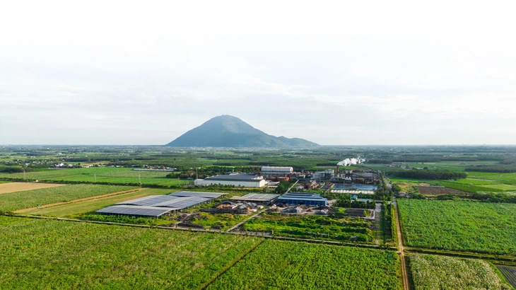 Công ty hạt nhân Tập đoàn TTC đăng ký bán ra hơn 43 triệu cổ phiếu SBT