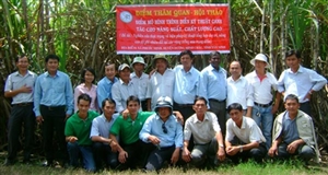 Nâng độ phì nhiêu sản xuất mía
