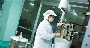 Mía đường Việt tiên phong phòng vệ thực phẩm
