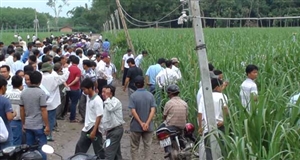 Tưới béc quay giúp tăng năng suất mía