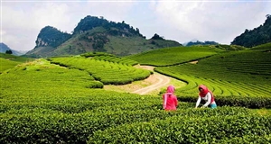 4 điểm du lịch lý tưởng dịp Quốc khánh 2/9