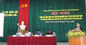 Trên 20 ngàn hộ tham gia trồng mía nguyên liệu