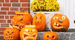 Trải nghiệm thú vị tại TTC World - Thung lũng tình yêu dịp Halloween