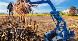 Cây mía trong phát triển chuỗi giá trị và ngành nông nghiệp tỉnh Tây Ninh