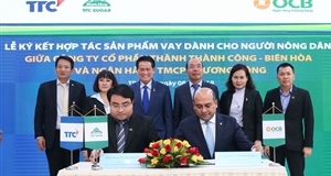 13.000 hộ nông dân được "vua" mía đường kết nối vay 1.000 tỷ đồng