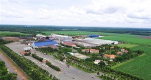 SBT tiếp tục duy trì vị thế trong rổ VN30