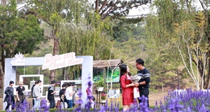 Đưa em về thanh xuân