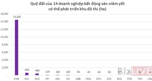 Top 5 doanh nghiệp bất động sản sở hữu quỹ đất ở lớn nhất, họ là ai?