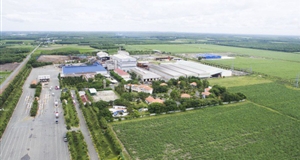 SBT - doanh thu thuần niên độ 2018 - 2019 đạt 95% kế hoạch năm