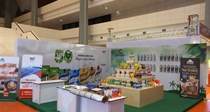 Doanh thu SBT thực hiện 57% kế hoạch, nợ vay giảm trong nửa đầu niên độ 2019 – 2020 (P1)