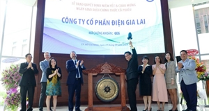Ông Đặng Văn Thành đăng ký mua vào 11 triệu cổ phiếu Điện Gia Lai (GEG)
