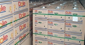 TTC Sugar xuất khẩu lô chuối Nam Mỹ đầu tiên sang Hàn Quốc