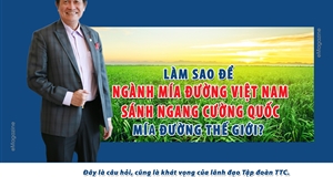 Làm sao để ngành mía đường Việt Nam sánh ngang cường quốc mía đường thế giới?