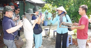 Du lịch Bến Tre có nhiều khởi sắc