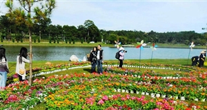 Đà Lạt (Lâm Đồng) sẽ có chợ hoa được xây dựng quy mô