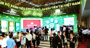 Bùng nổ bất động sản Tân Phú