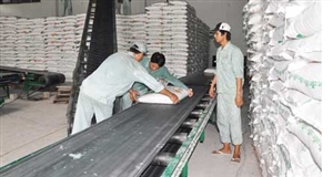 Ngành mía đường - Tìm giải pháp nâng cao năng lực cạnh tranh