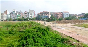 Mới: Miễn, giảm tiền sử dụng đất trong trường hợp đấu giá