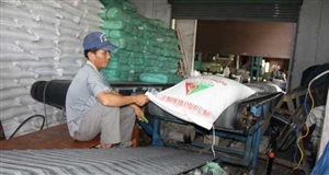 VSSA muốn đấu thầu hạn ngạch nhập khẩu đường hằng năm