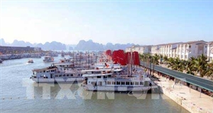 Thu phí ra vào cảng Tuần Châu đảm bảo hài hòa lợi ích các bên
