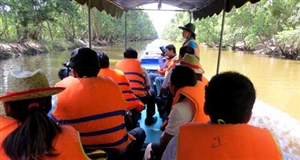 Đầu tư hạ tầng phát triển du lịch sinh thái VQG Tràm Chim