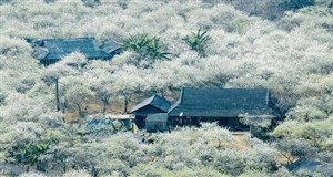 4 địa điểm du lịch không thể tuyệt vời hơn cho chuyến đi tháng 1