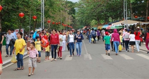Tết Đinh Dậu, hơn nửa triệu khách đến Khu du lịch quốc gia núi Bà Đen