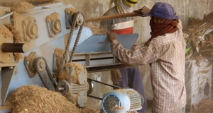 Khai phá tiềm năng năng lượng sinh khối