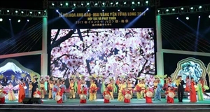 Khai mạc Lễ hội hoa Anh đào - Mai vàng Yên Tử, Hạ Long 2017