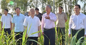 Khởi sắc kinh tế vùng biên