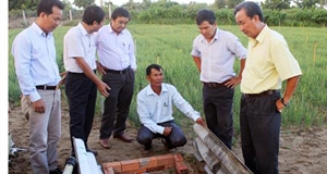 Ninh Thuận hướng đến sản xuất nông nghiệp hàng hóa có lợi thế cạnh tranh trên cánh đồng lớn