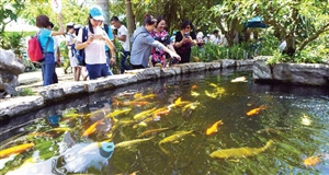 Mời du khách... làm nông