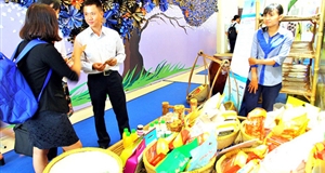 Miền Tây cùng bàn cách phát triển dừa, gạo, cá, sen và du lịch