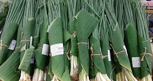 Sau lá chuối, siêu thị dùng hộp làm từ bã mía, túi ngô đựng thực phẩm