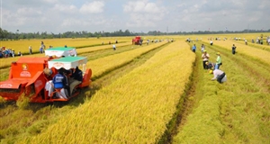 Nông nghiệp là bệ đỡ cho nền kinh tế và sự ổn định xã hội trong bối cảnh dịch bệnh