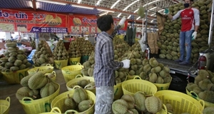 Thái Lan khuyến khích mô hình 'chợ nông sản di động'
