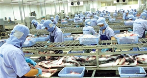 Tận dụng ưu đãi từ EVFTA: Doanh nghiệp xuất khẩu cần nắm đầy đủ nội dung cam kết