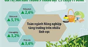 Ngành Nông nghiệp tự tin "cán đích" xuất khẩu đạt 54 tỷ USD