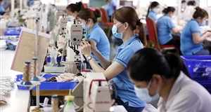 Nền kinh tế đã chạm đáy và đang hồi phục