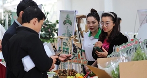 Hội thi khởi nghiệp tỉnh Lâm Đồng năm 2023: Dự án nào vào vòng chung kết?