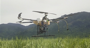 Công ty TNHH MTV Đường Biên Hòa - Ninh Hòa: Đẩy mạnh chăm sóc mía bằng drone