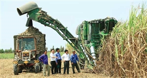Solve the sugarcane material puzzle for 2016 – 2017 farming season year