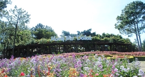 The number of international travelers coming to Dalat increases dramatically