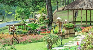 Investing tourism in Da Lat is free rent tax