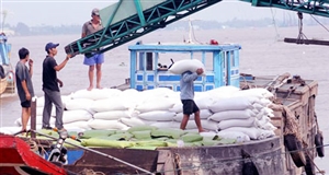 Sollution for vietnam rice export