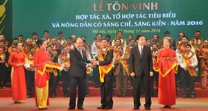 Vietnam: Top 15 nations which have the largest export agriculture yield in the world