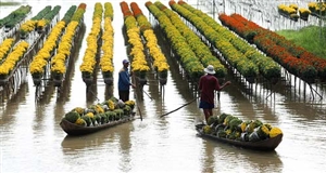 E-visa for tourists come to Vietnam