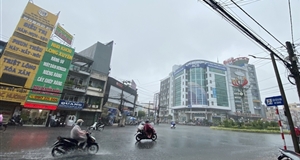 Heavy rains bring cheer to Mekong Delta farmers