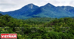 Vẻ đẹp lãng mạn của Thung lũng Tình yêu
